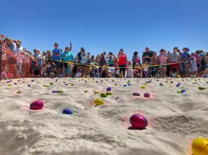 106455 Screenshot 2025 02 19 130715