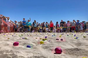 117894 29354468_10156048807422349_6399201642189576135_o 0c8d86ff 1920w