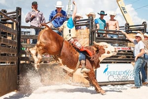117902 Bullsonthebeach2