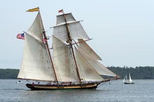 95349 Pensacola Tall Ships Festival