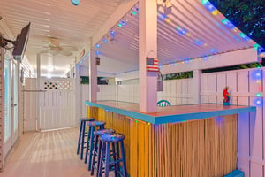 Super Fun Tiki Bar with TV