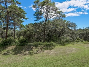 Tranquil views of the preserve