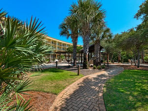 Complex Pool Area and Grounds