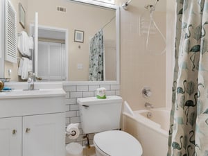 Shower  tub combo in guest bath