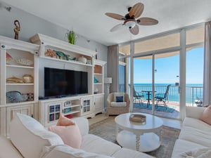 Large Flat Screen TV in Living Area