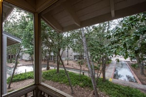 View from Screened Porch