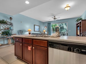 Kitchen and Living Area