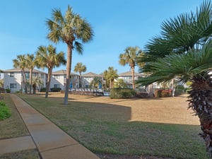 View from Private Patio