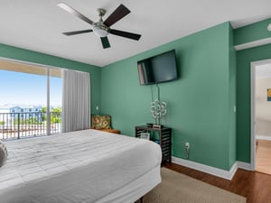 Primary Bedroom with King Bed and Flat Screen TV