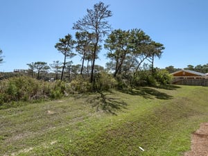 Peaceful views of the natural preserve area