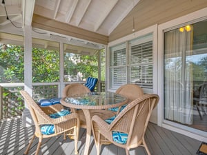 Tree House effect on Screen Porch