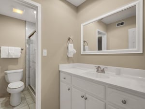 Updated Primary Bathroom Vanity