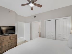 Primary Bedroom with TV