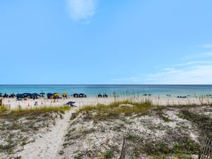 Beach access path through protected dunes