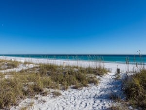 Beach access path through protected dunes