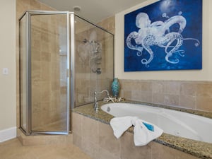 Primary bathroom with soaking tub and walkin shower