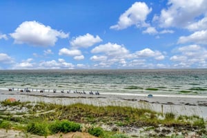 Spacious public beach directly across the street