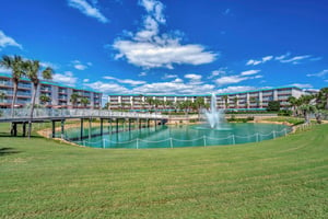 Complex boardwalk and pond