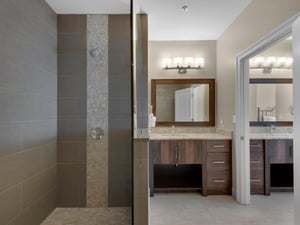 Primary Bathroom with Shower and Vanity