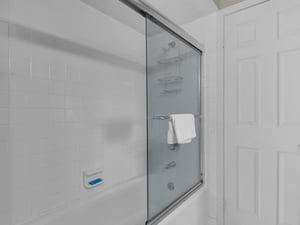 Shower Tub Combo in Guest Bath