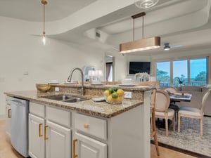 Kitchen and Living Area