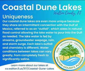 Coastal Dune Lake Info