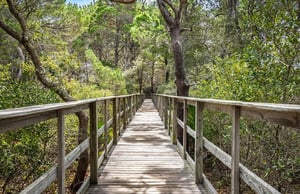 Preserve Trail Walk to the Beach