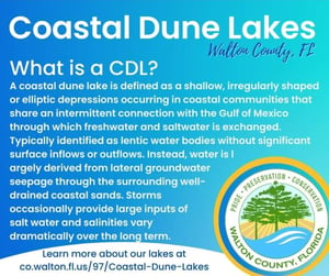 Coastal Dune Lake Info