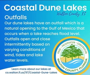 Coastal Dune Lake Info