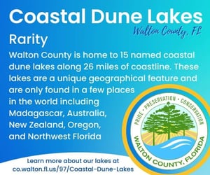 Coastal Dune Lake Info