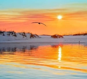 Destin Harbor Sunset