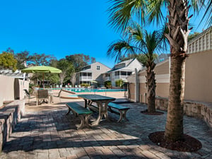 Hidden Dunes Cottage Pool with Palm Trees