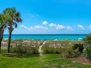 View from Patio