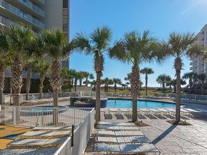 Complex pool area surrounded by palm trees