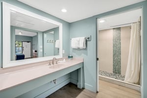 Large vanity counter and bathroom with walkin shower