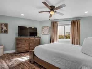 Primary Bedroom with Large TV