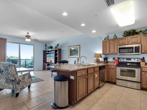 Open Concept Kitchen and Living Area