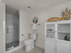 Walkin Shower in Primary Bath