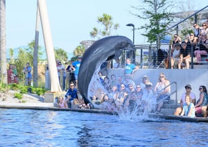 2152260 487824733_1100920432080043_910148603205155756_n