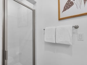 Shower in Guest Bathroom