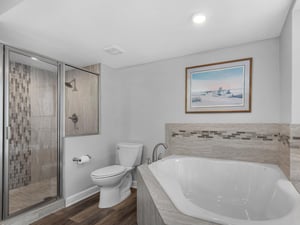 Primary Tub and Separate Shower