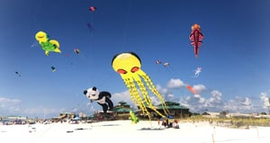 2203228 Kitty Hawk Kite Festival
