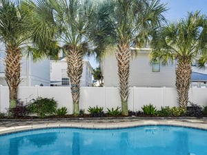 Dive into your private tropical oasis, where swaying palms frame crystalclear waters and create the perfect backdrop for relaxation.