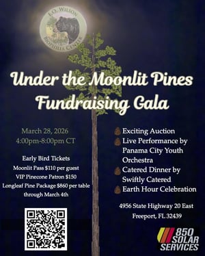 2211738 Biophilia Gala 1 Sheet Copy