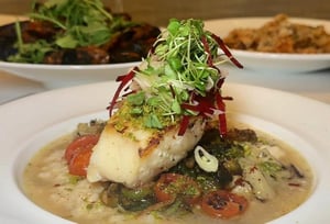 2214336 Screenshot 2026 02 27 132643