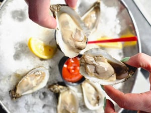 2214339 629398478_1344799114346318_4823558161862331782_n