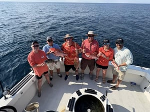 2214402 558011627_1372269014904426_4109810383720529256_n