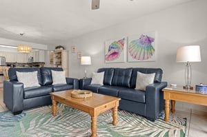 Comfortable living room open