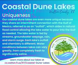 Coastal Dune Lake Info