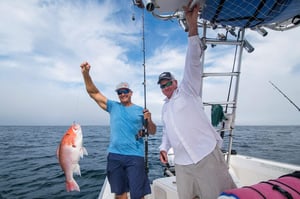 2219373 505831496_2997952190365814_490341112568619428_n